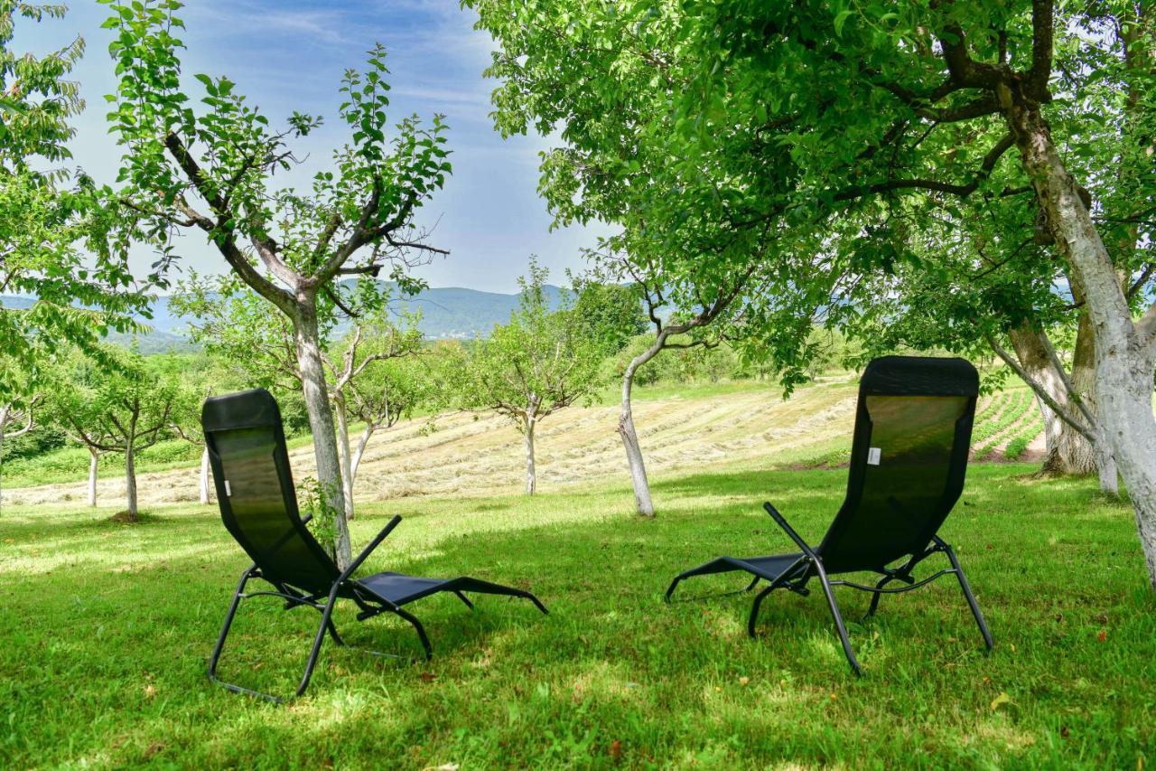 Apartman Plum Plitvice Dreznik Grad Ngoại thất bức ảnh